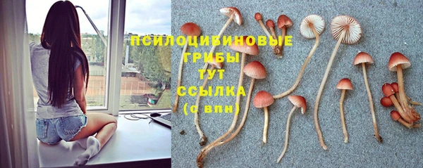 прущий лед Костерёво