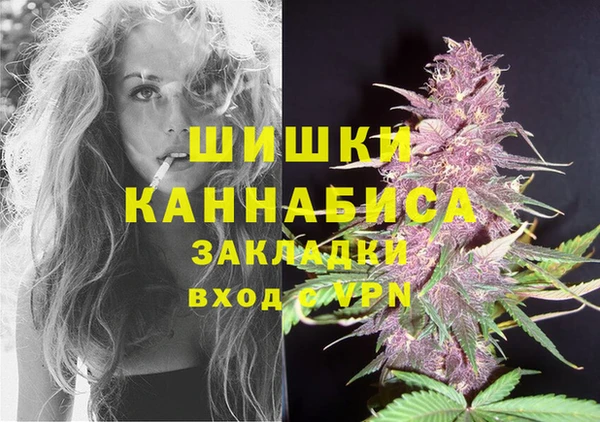 прущий лед Костерёво