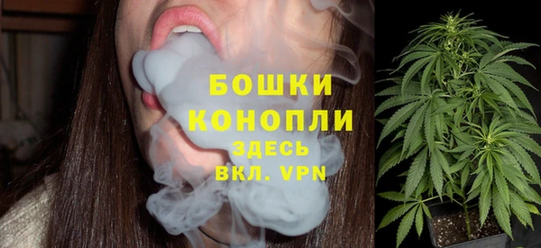 прущий лед Костерёво