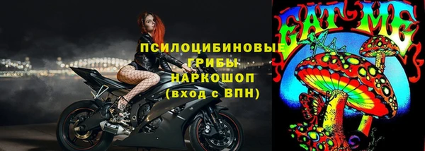 гашик Кодинск